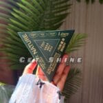 Nature Triangle Shampoobar